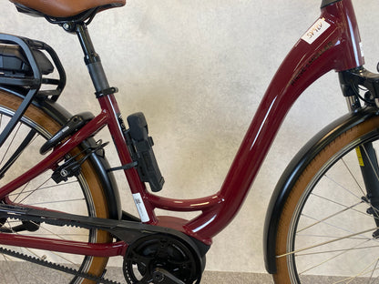 Riese & Müller Swing