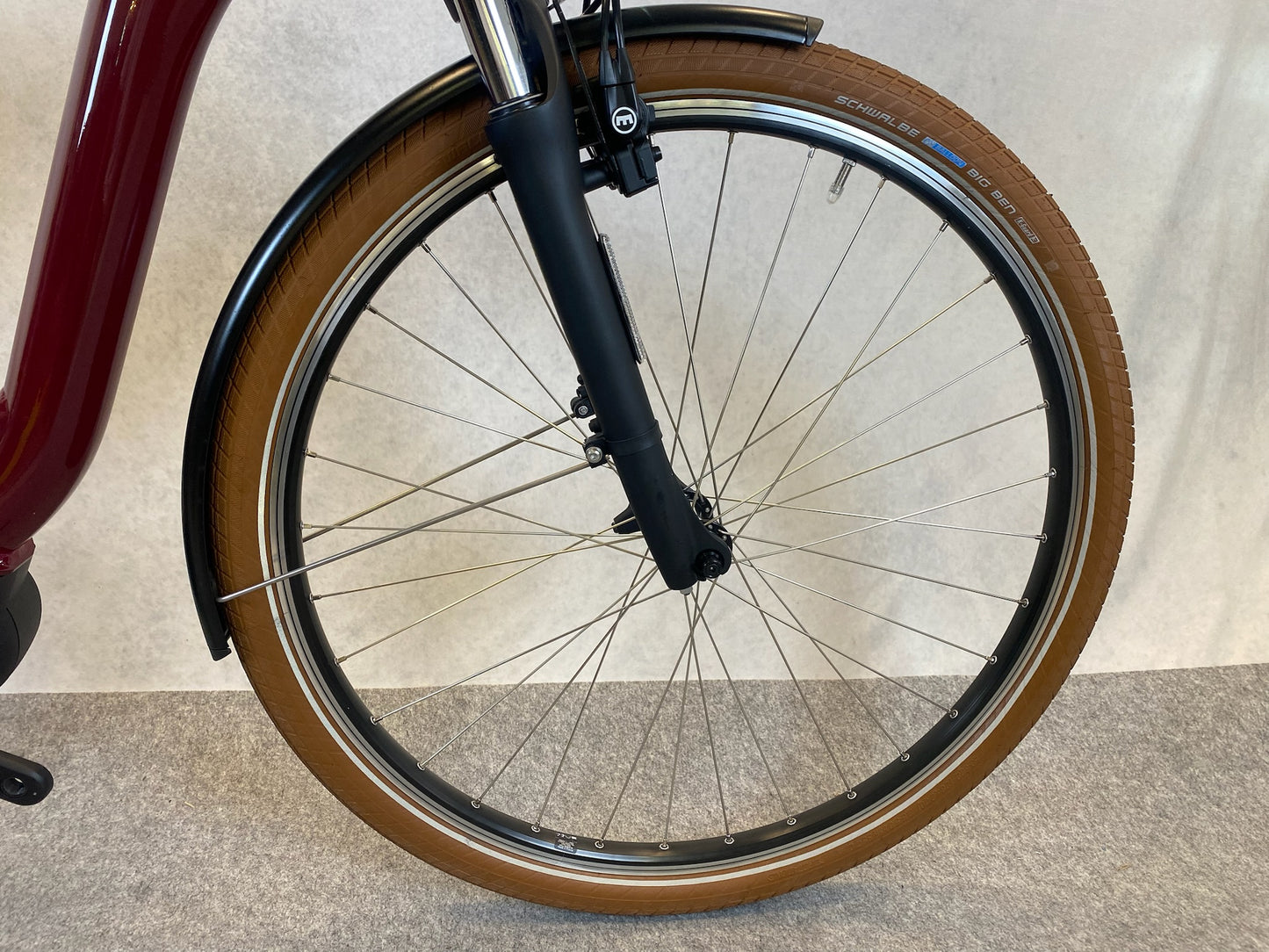 Riese & Müller Swing