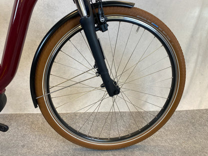 Riese & Müller Swing