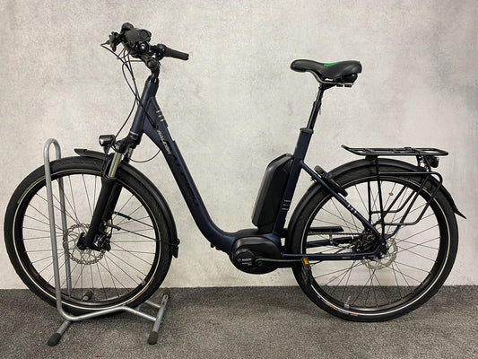 Raleigh Kingston 8