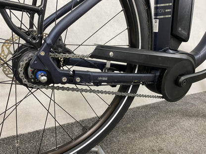 Raleigh Kingston 8