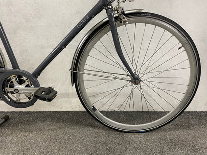 Gazelle Van Steel