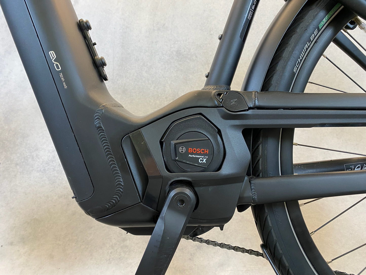 Pegasus Strong Evo He28" Rh 55
