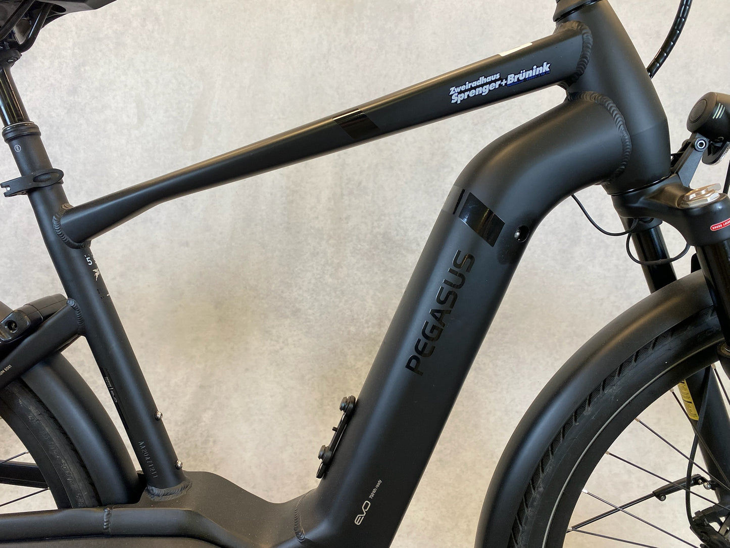 Pegasus Strong Evo He28" Rh 55