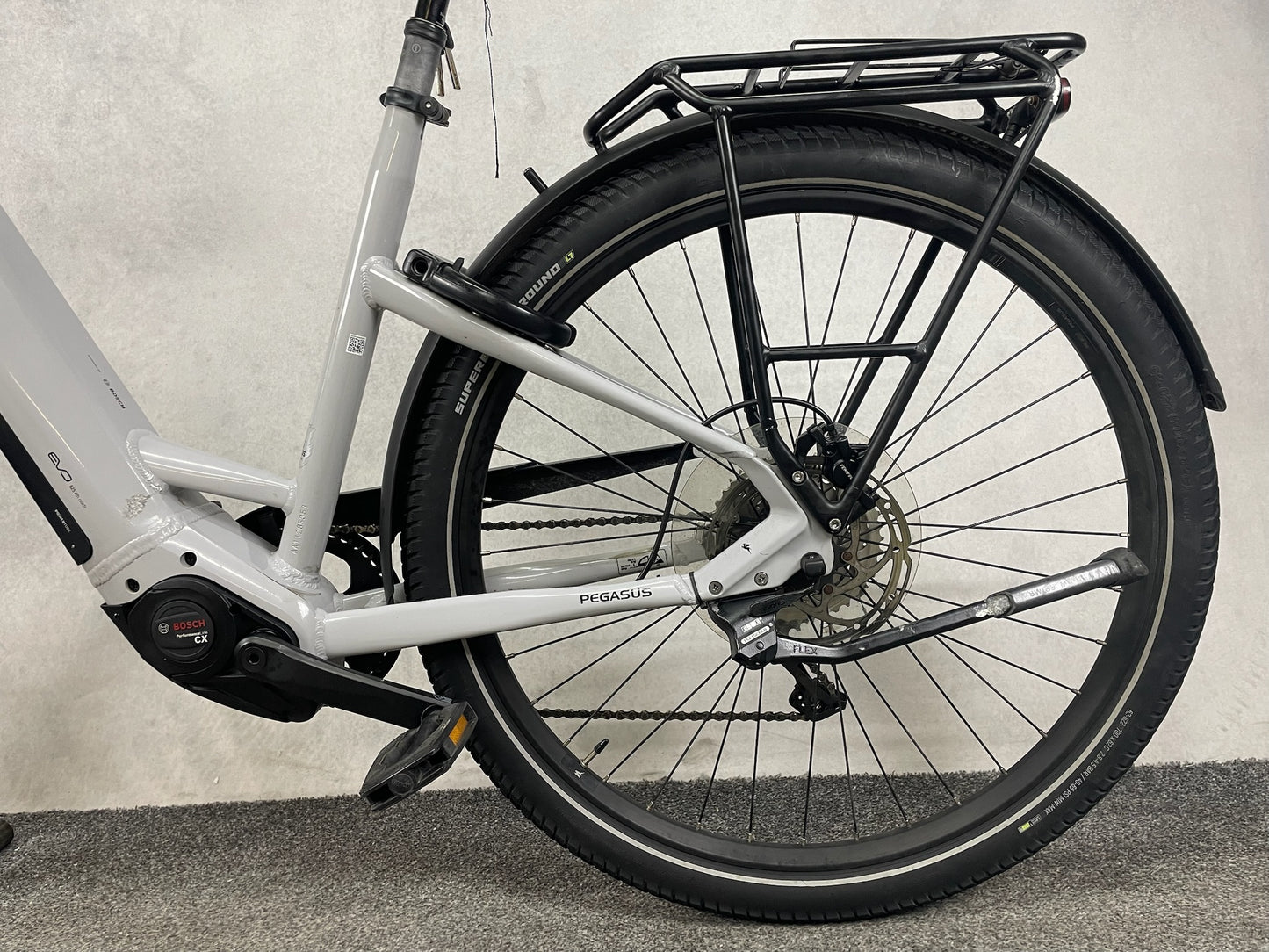 Pegasus Savino Evo 10