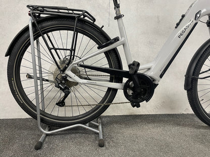 Pegasus Savino Evo 10