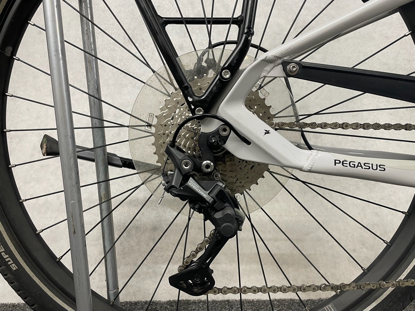 Pegasus Savino Evo 10
