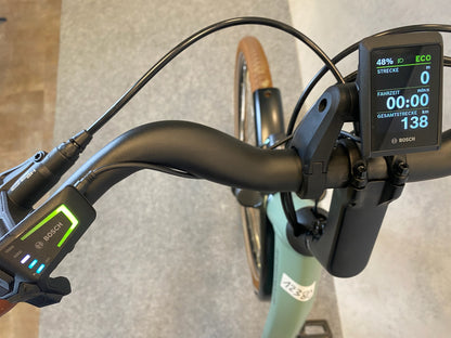 Riese und Müller Swing4 vario
