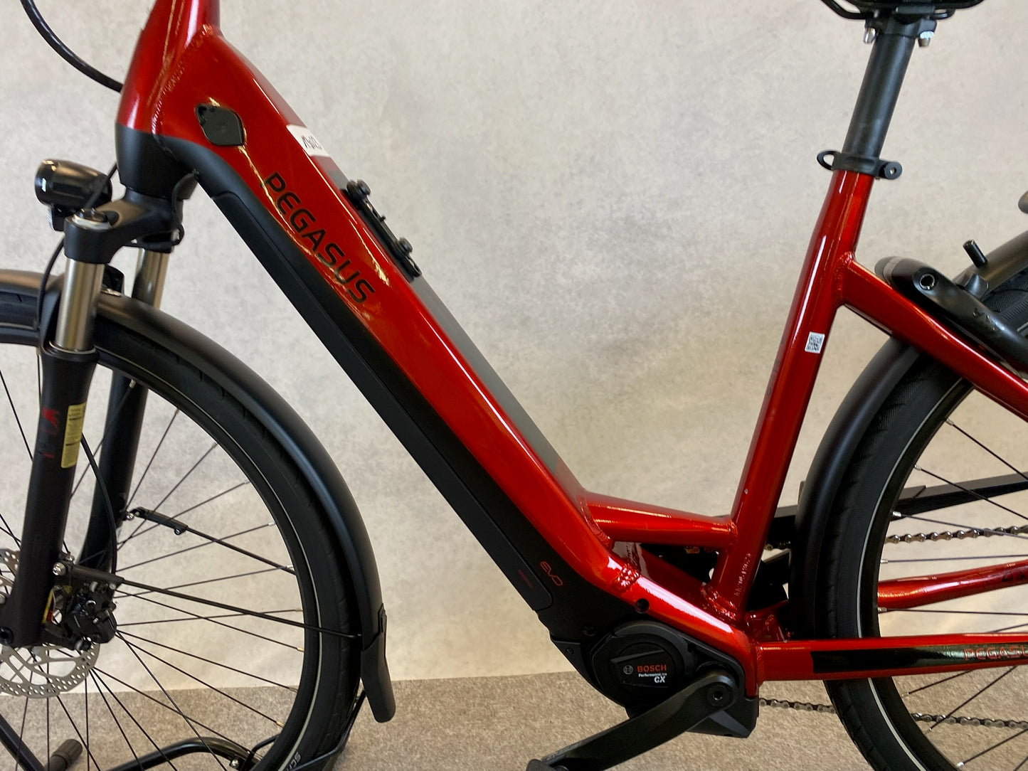 PEGASUS Premio Evo 10 lite 750