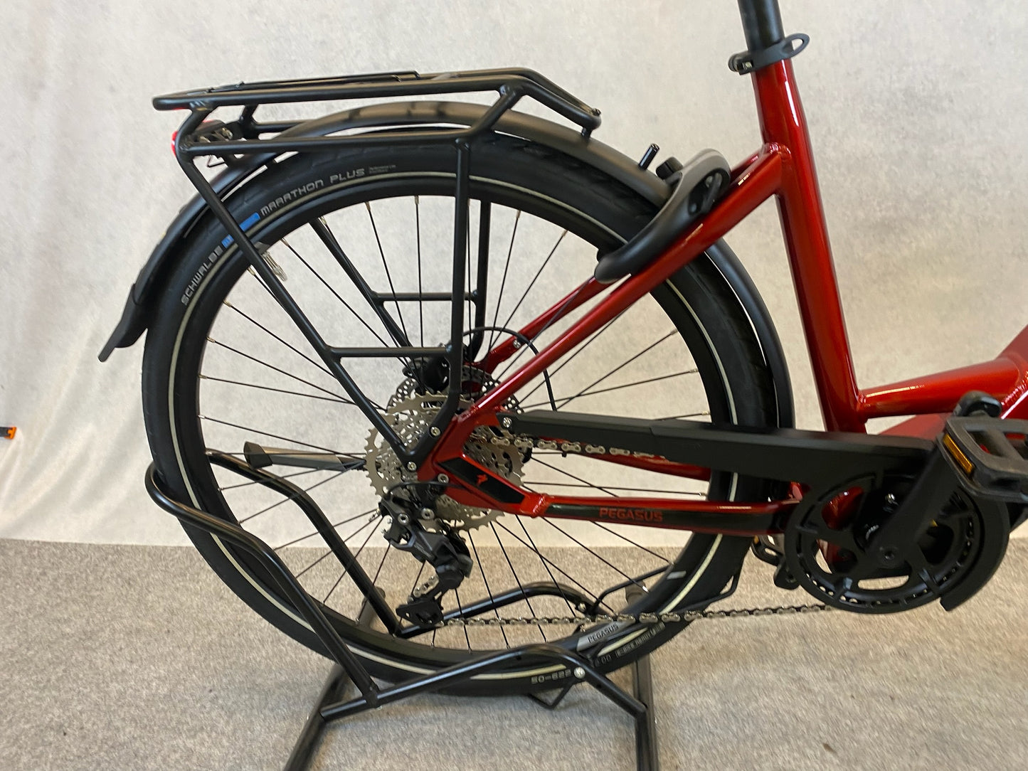 PEGASUS Premio Evo 10 lite 750