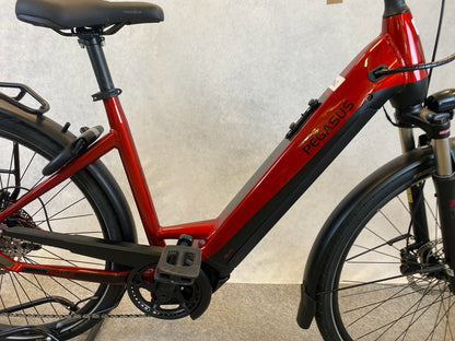 PEGASUS Premio Evo 10 lite 750