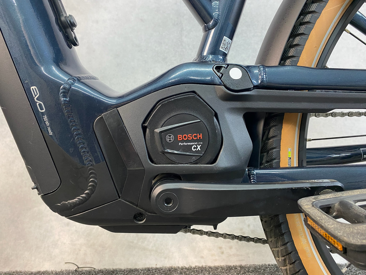 Pegasus Savino EVO 12