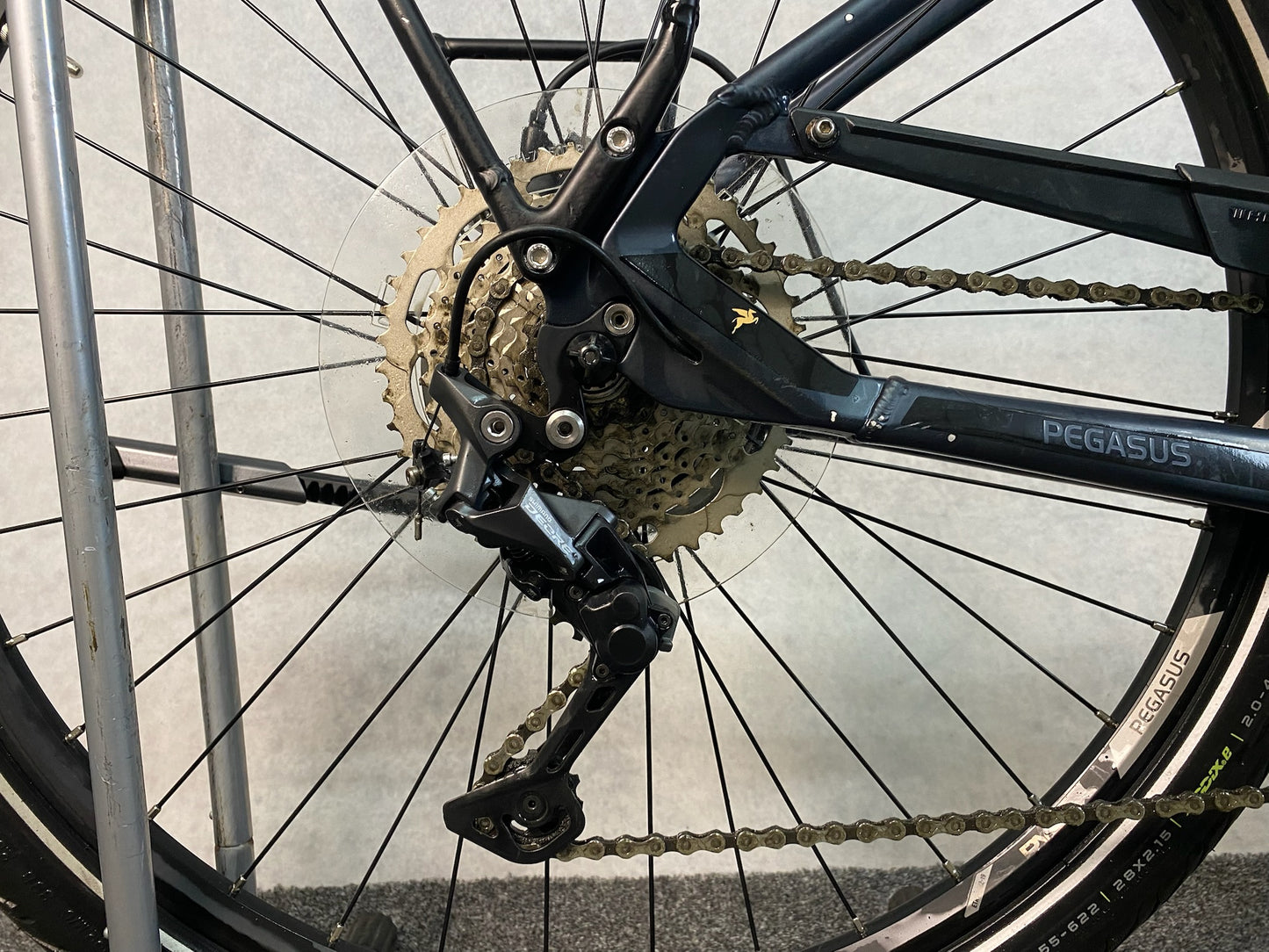 Pegasus Premio EVO 10 lite Comfort