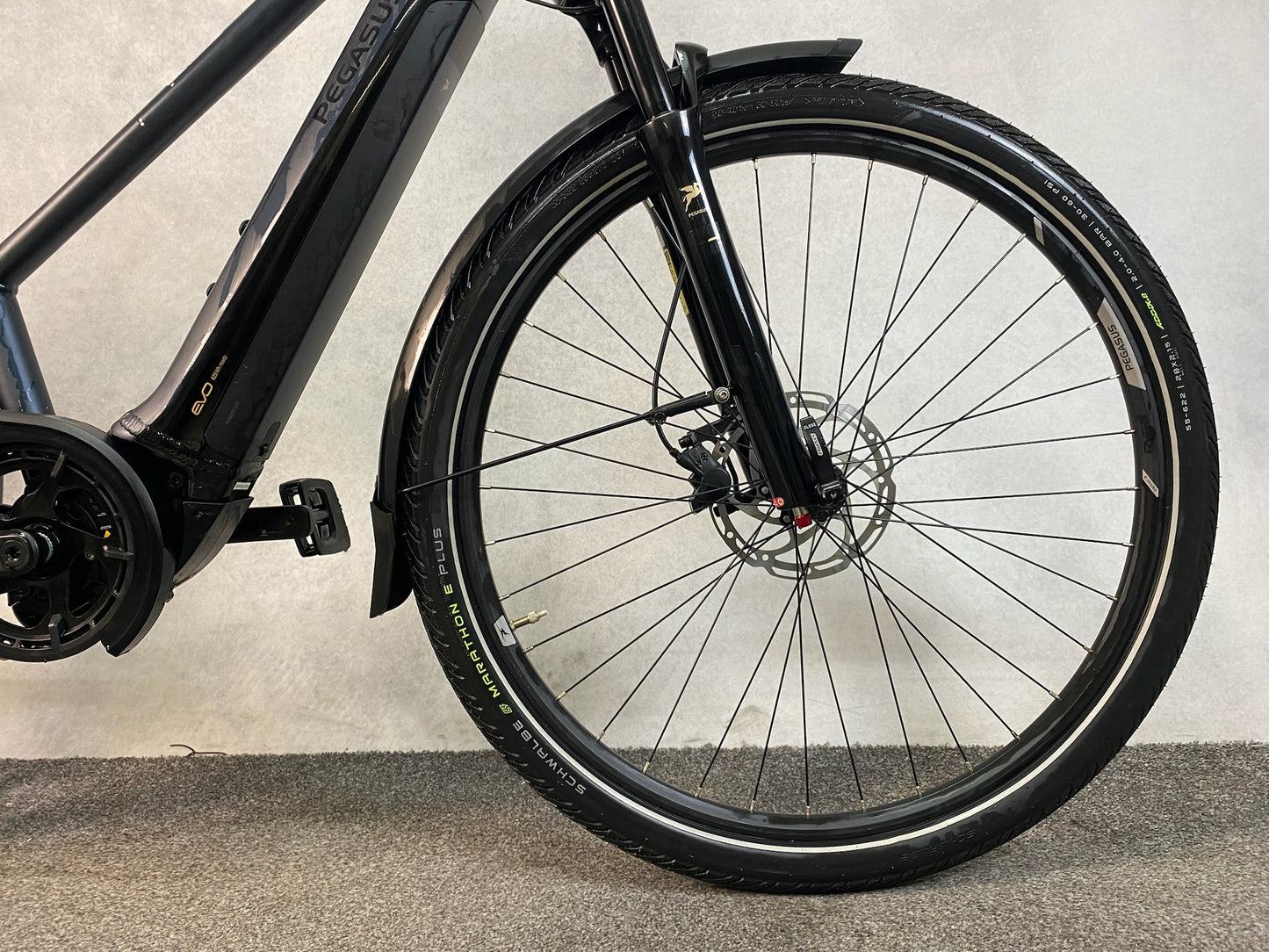 Pegasus Premio EVO 10 lite Comfort