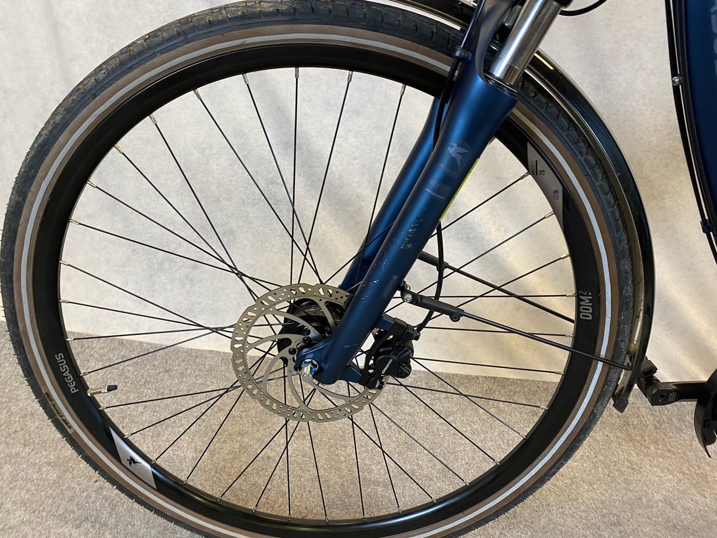 Pegasus Savona SL Disc
