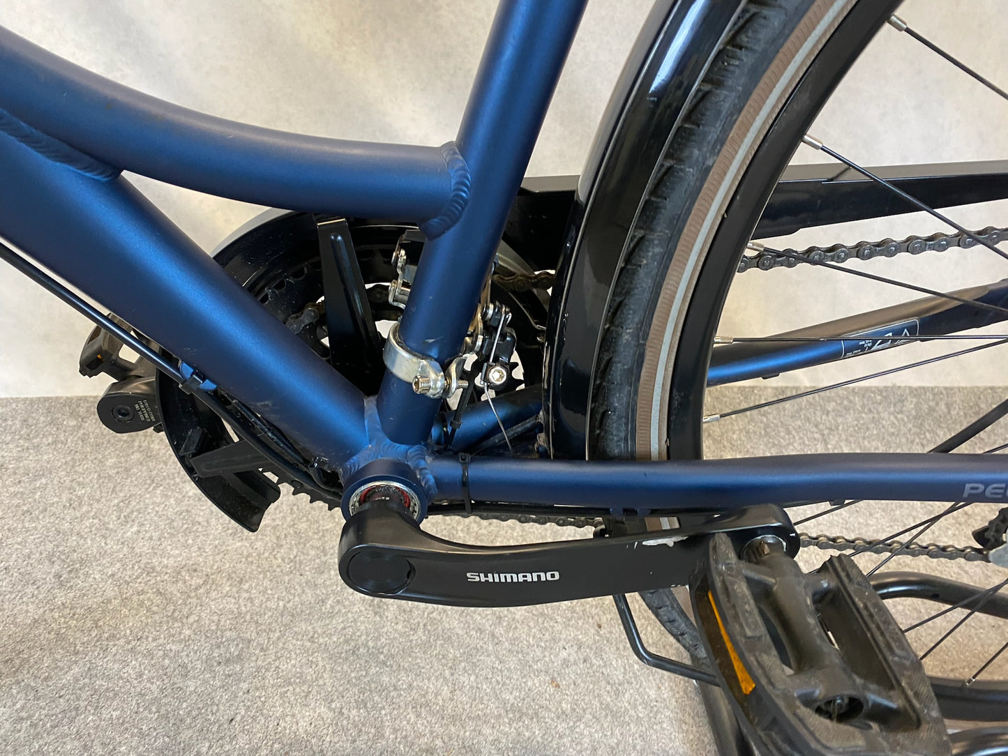 Pegasus Savona SL Disc