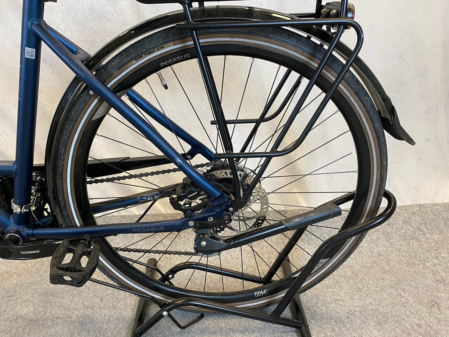 Pegasus Savona SL Disc