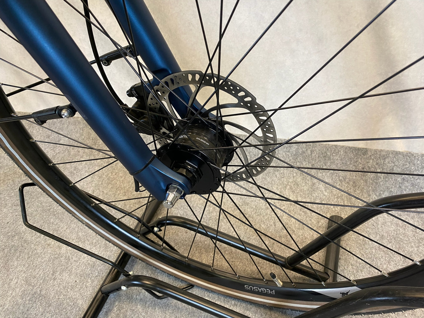 Pegasus Savona SL Disc