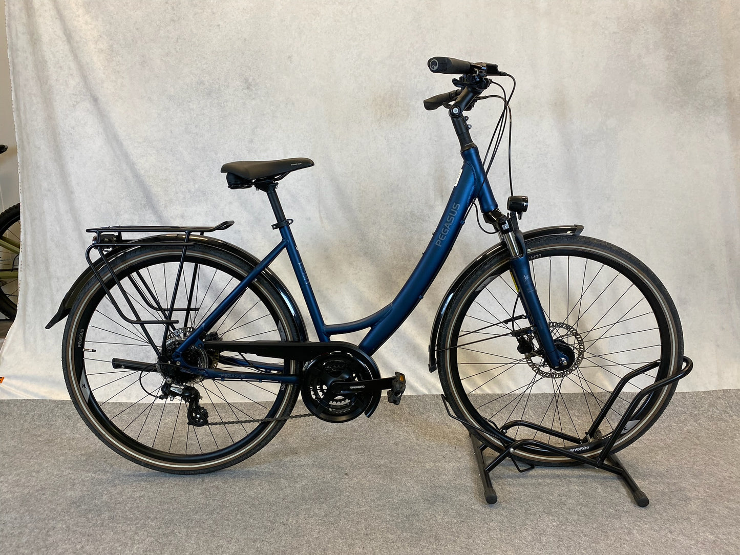 Pegasus Savona SL Disc