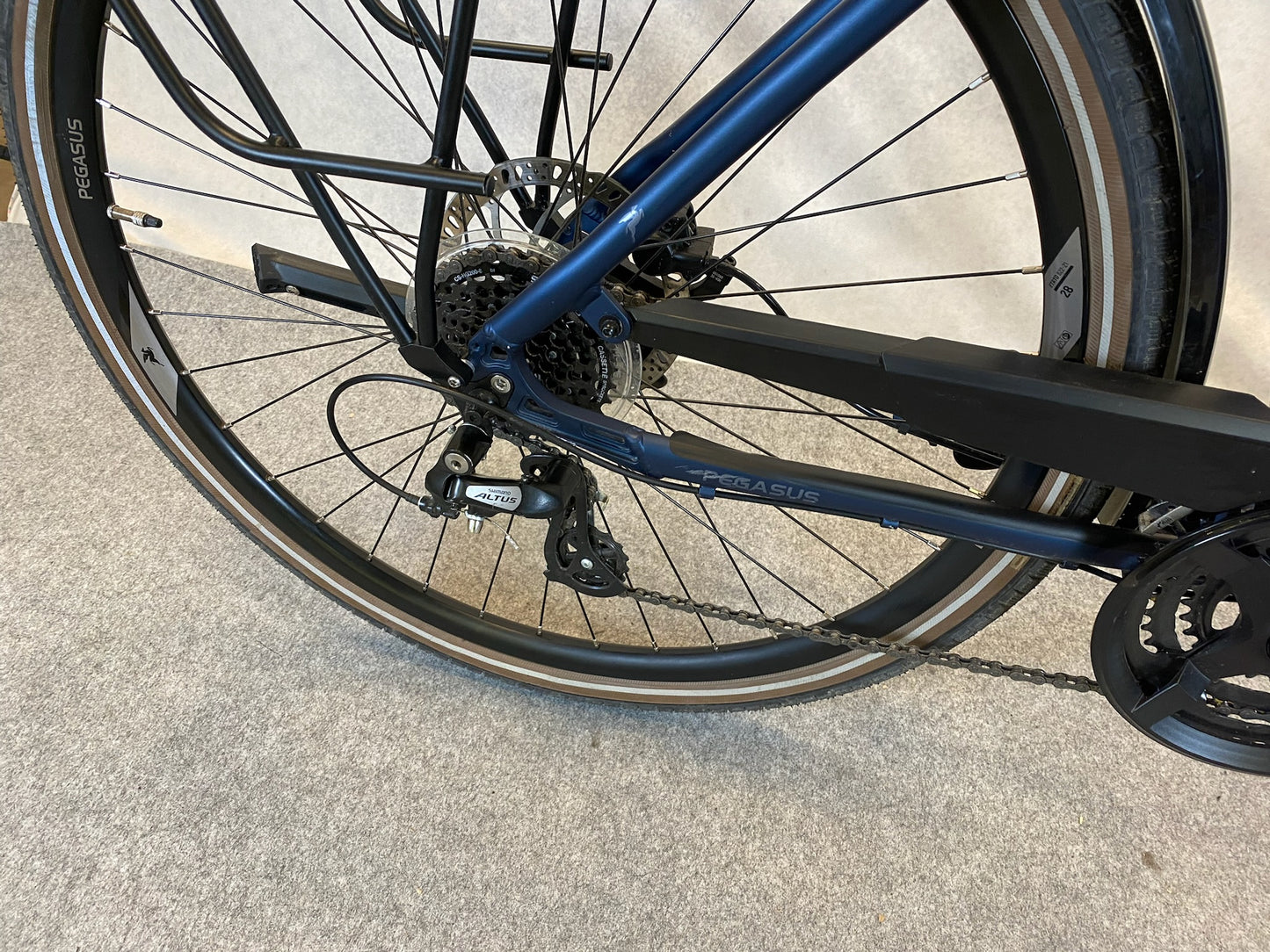 Pegasus Savona SL Disc