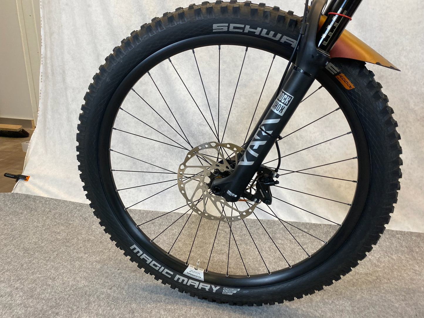 Bergamont E-Trailster Expert