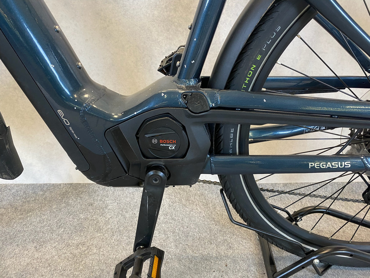 Pegasus Premio EVO11 "40Years"