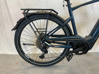 Pegasus Premio EVO11 "40Years"