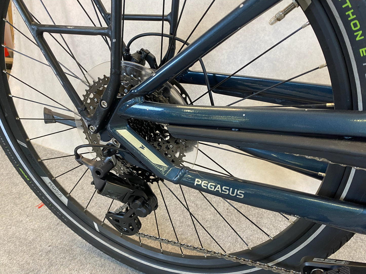 Pegasus Premio EVO11 "40Years"