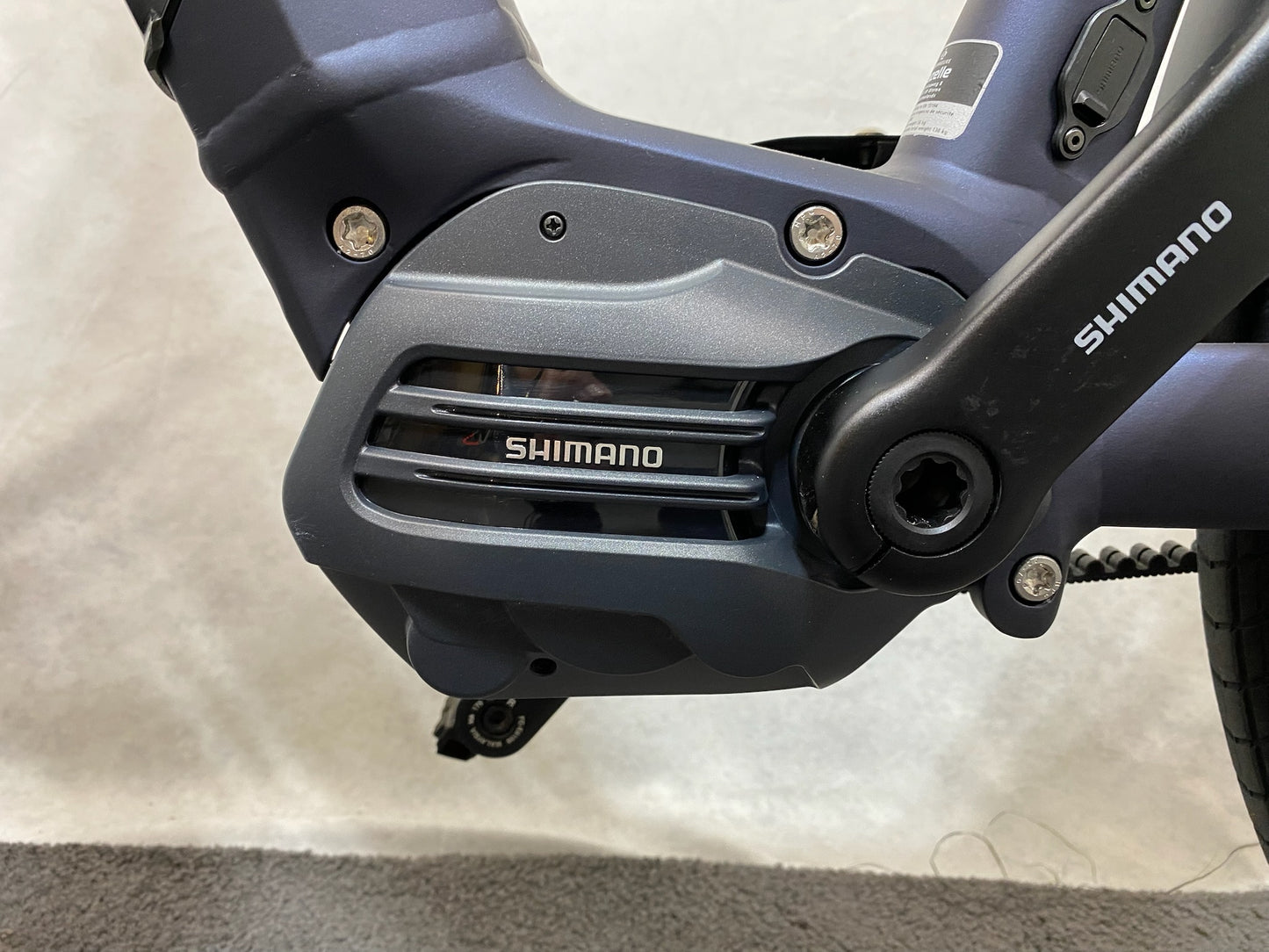 Gazelle Charmonix C5 Belt Wave