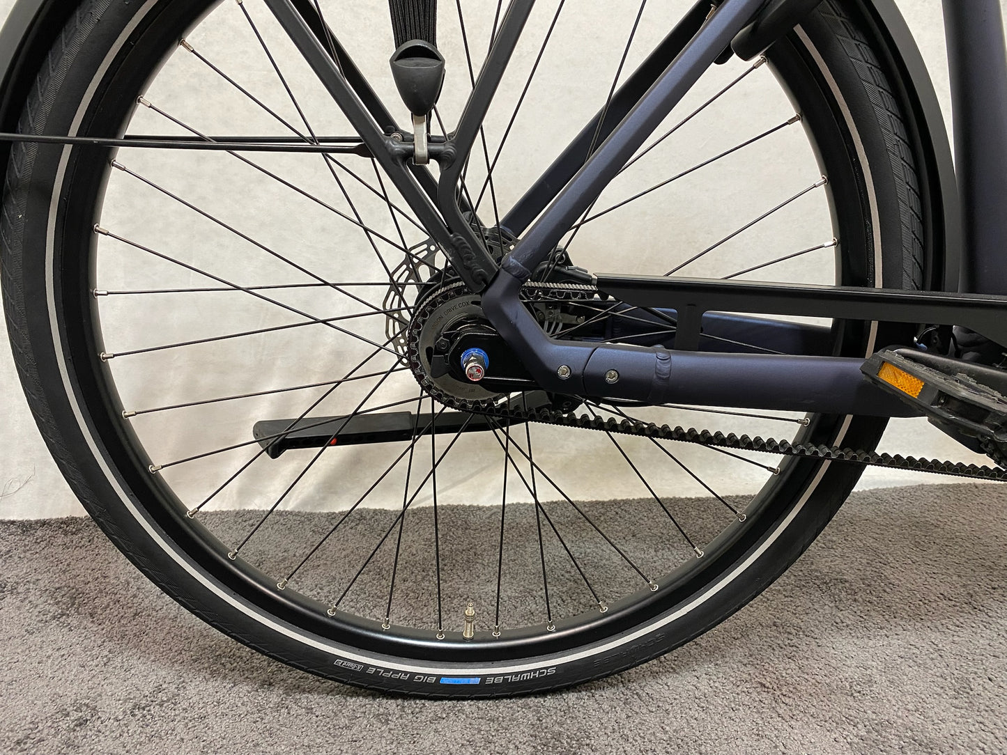 Gazelle Charmonix C5 Belt Wave