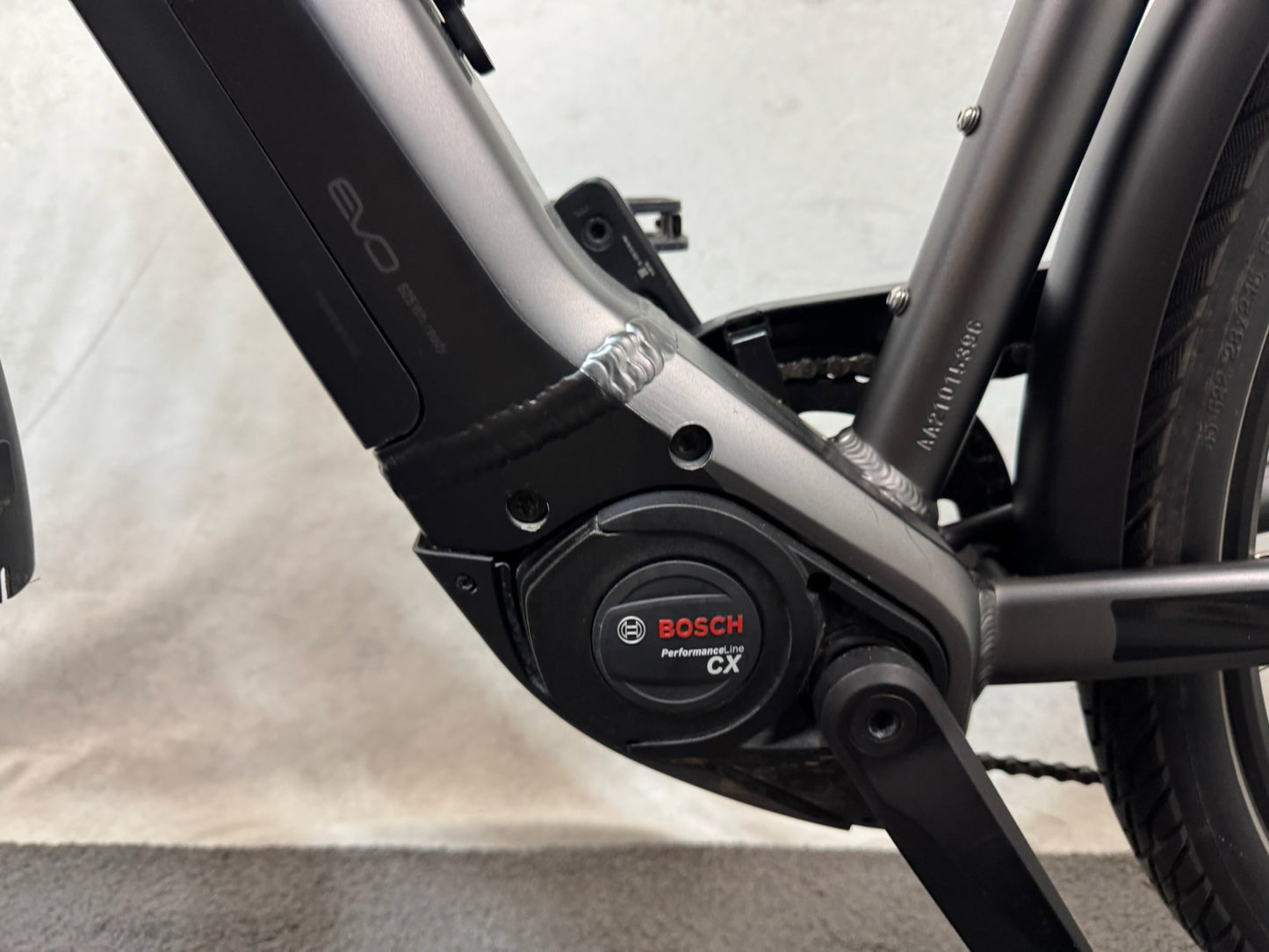 Pegasus Premio EVO 10 Lite Comfort