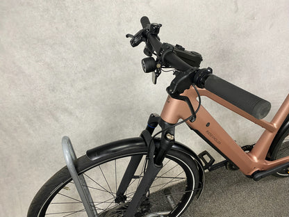 Riese & Müller UBN Seven