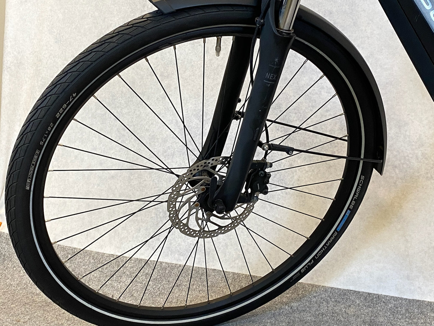 Pegasus Premio EVO 10 Lite