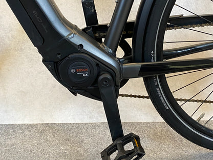 Pegasus Premio EVO 10 Lite