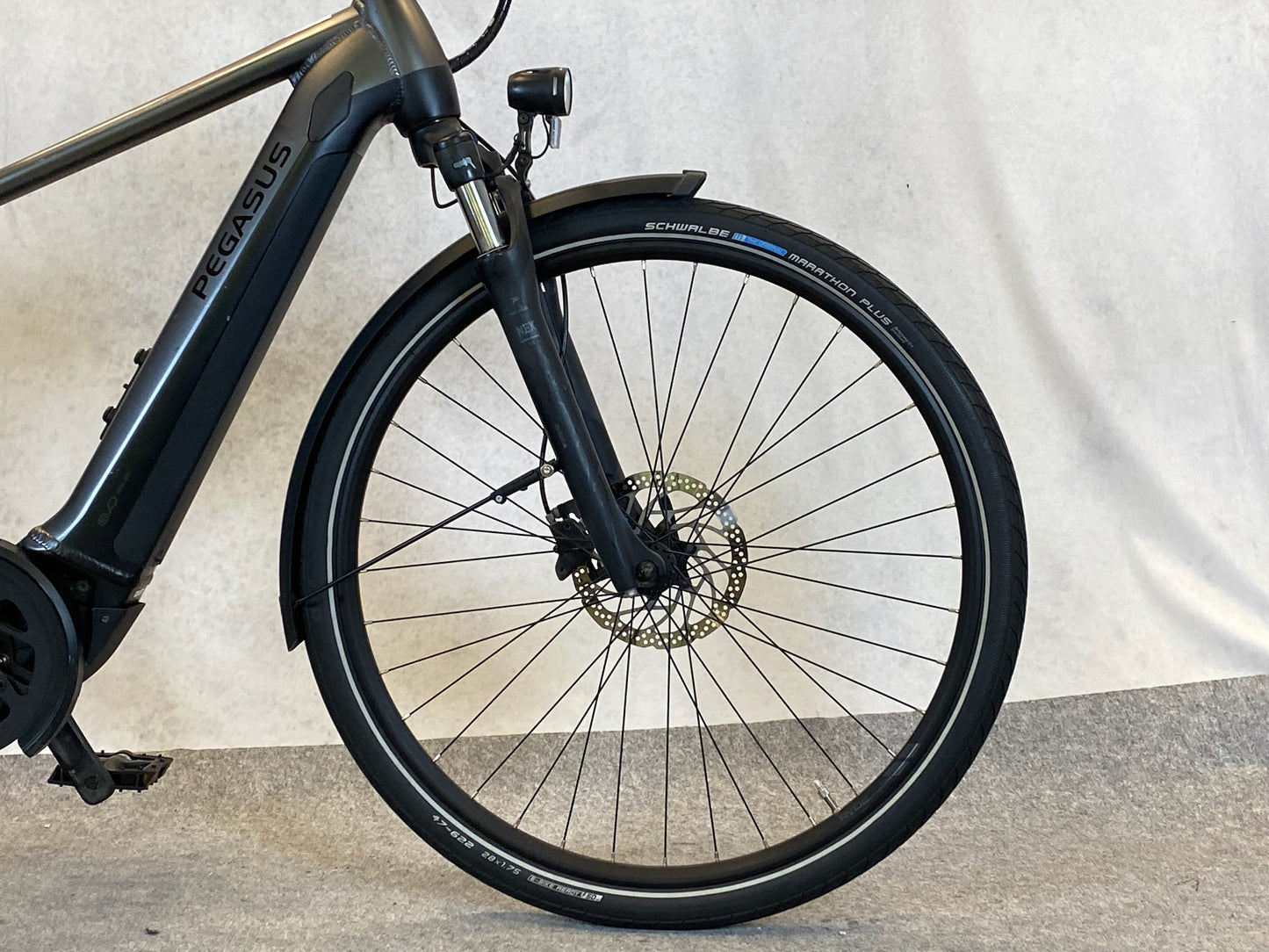 Pegasus Premio EVO 10 Lite