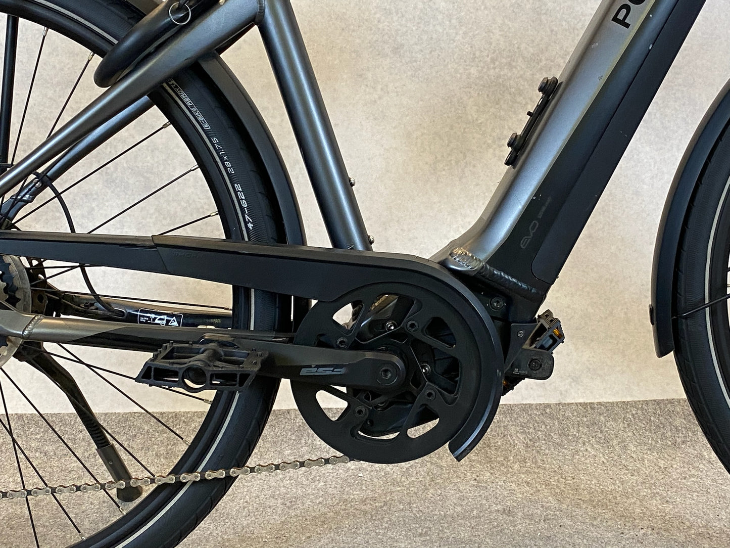 Pegasus Premio EVO 10 Lite