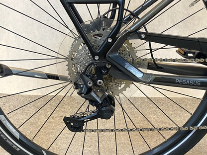 Pegasus Premio Evo 10 lite 750