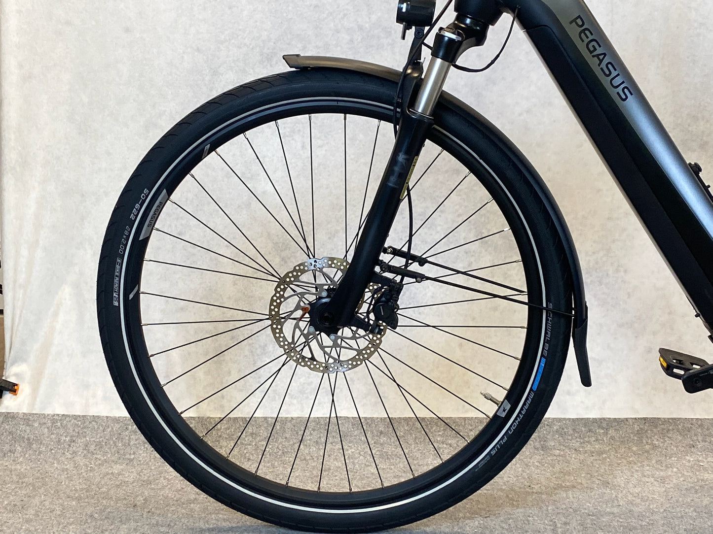 Pegasus Premio Evo 10 lite 750