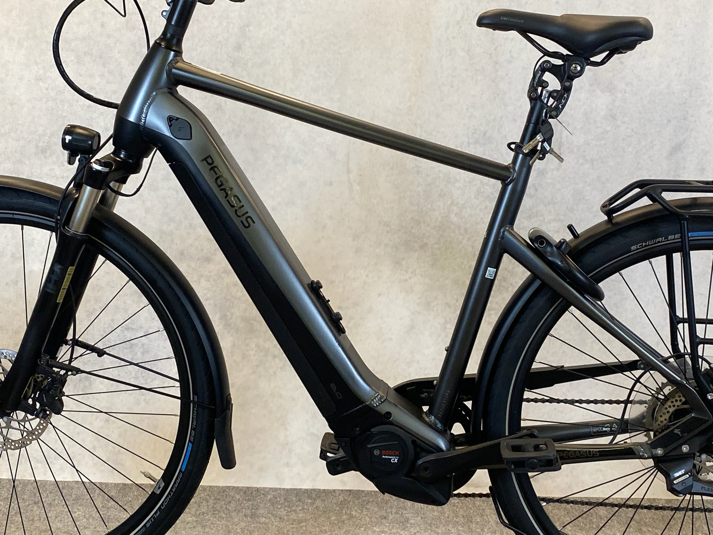 Pegasus Premio Evo 10 lite 750