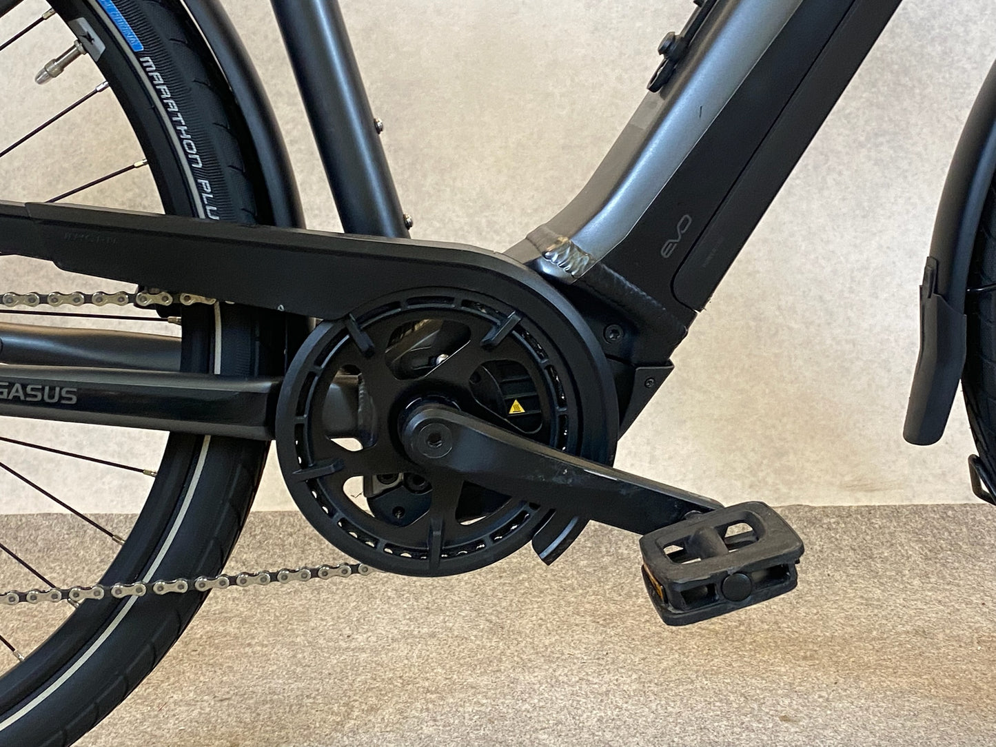 Pegasus Premio Evo 10 lite 750