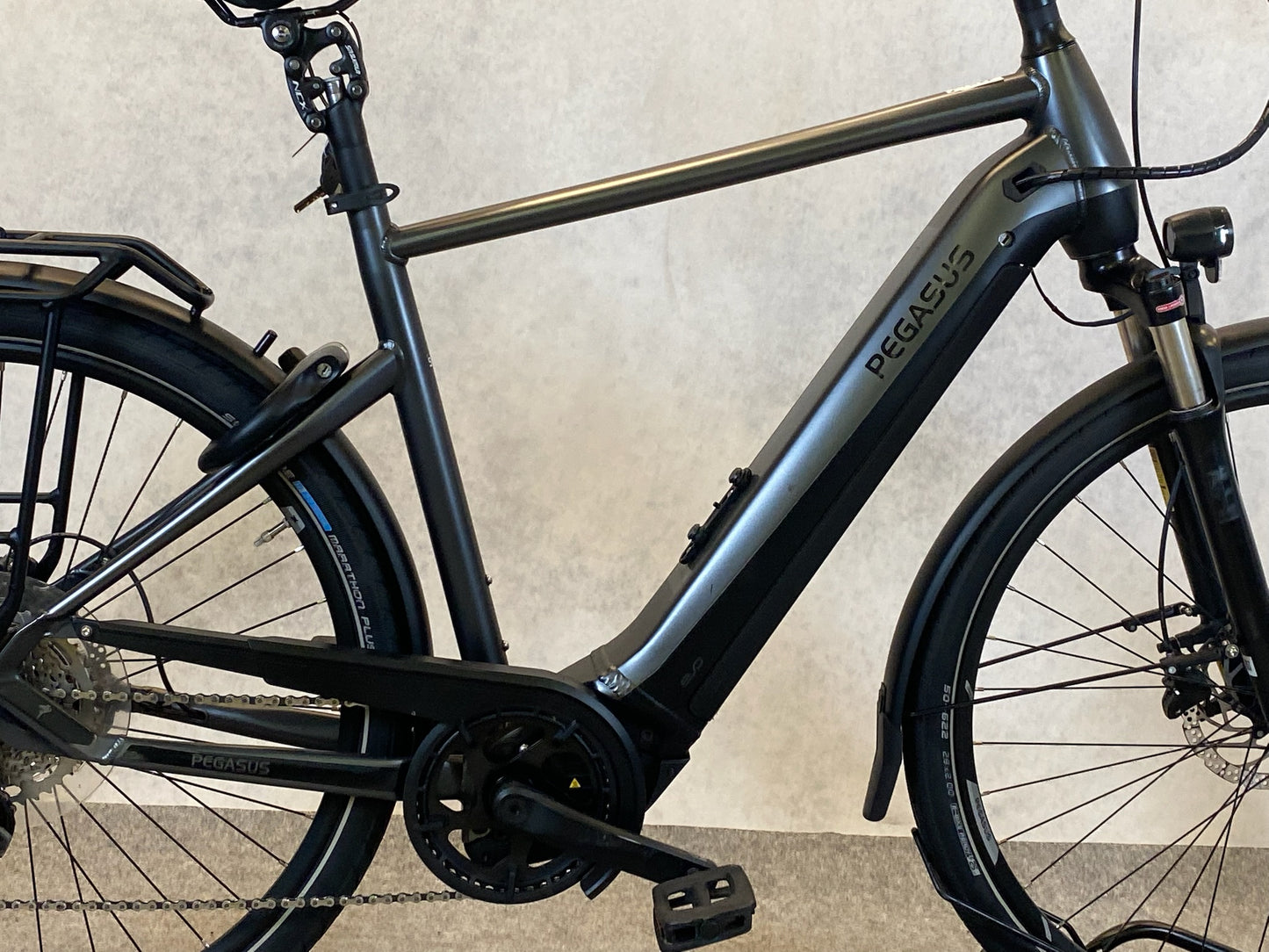 Pegasus Premio Evo 10 lite 750