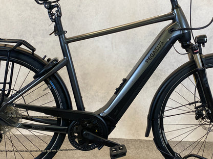 Pegasus Premio Evo 10 lite 750