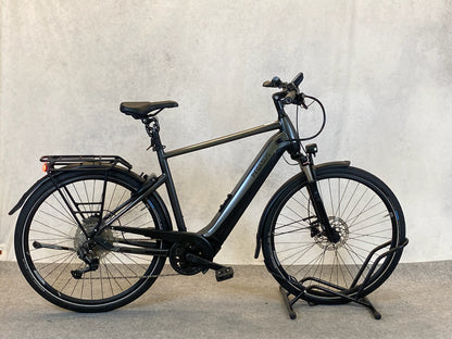 Pegasus Premio Evo 10 lite 750