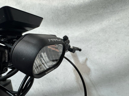 Riese & Müller Delite mountain touring Nyon