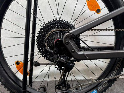 Riese & Müller Delite mountain touring Nyon