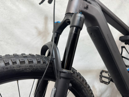 Riese & Müller Delite mountain touring Nyon