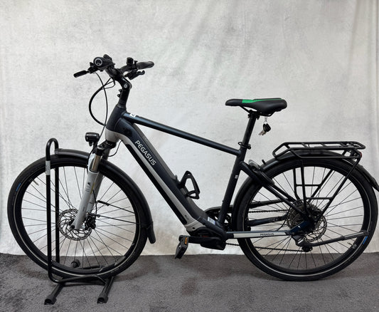 Pegasus Premio EVO 10 lite 750