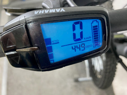 Raymon HardRay E 2.0 27,5