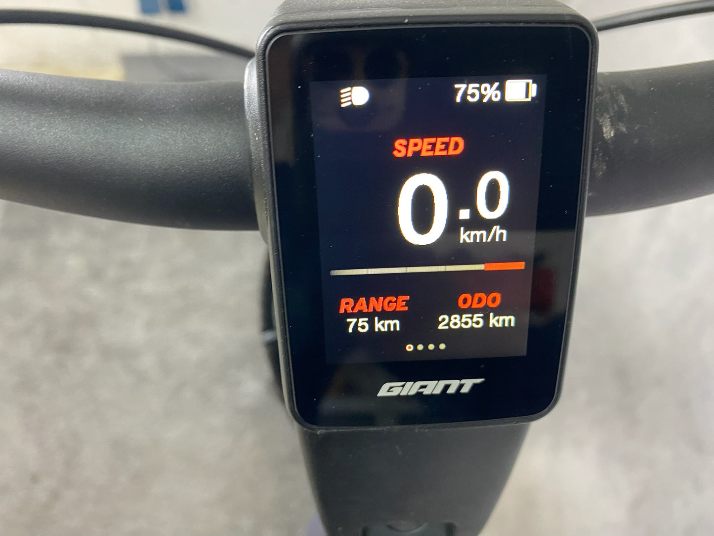 Giant Dailytour E+ Giant      