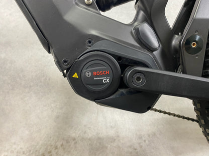 Riese & Müller Delite Mountain touring